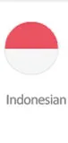 Indonesian