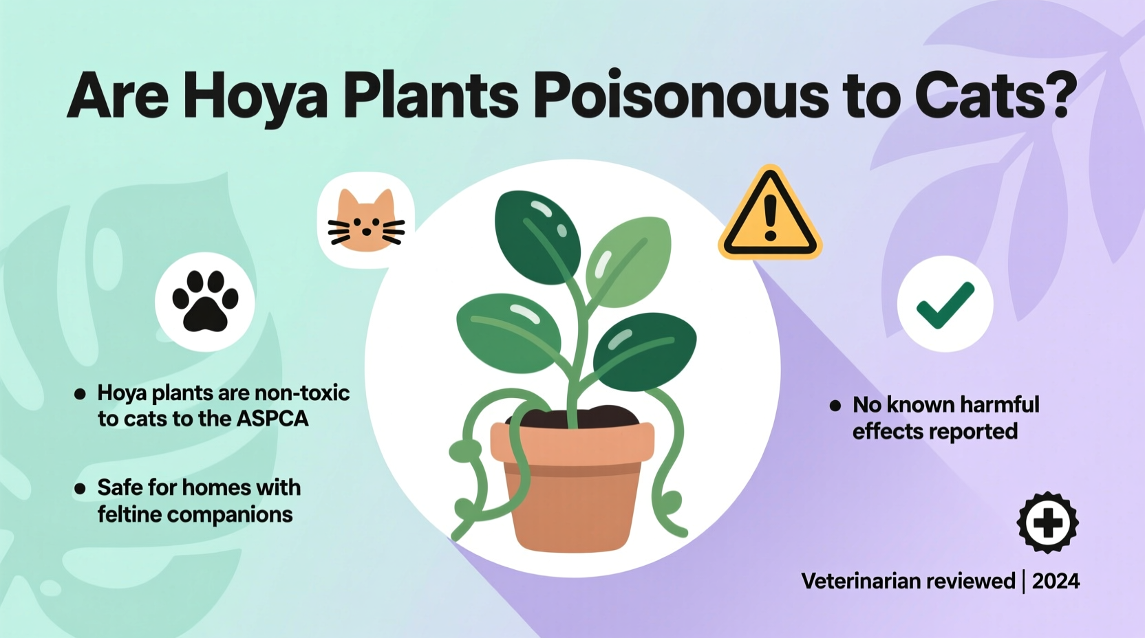 are hoya plants poisonous to cats