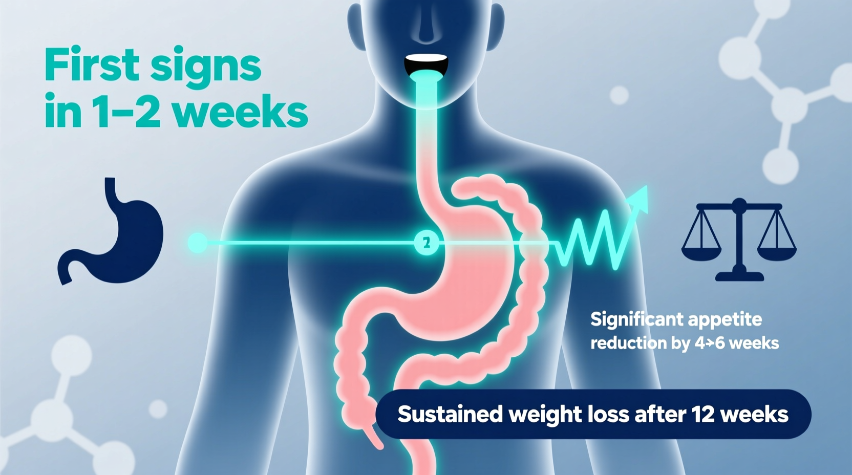 understanding how long it takes for glp 1 medications to begin working and what to expect