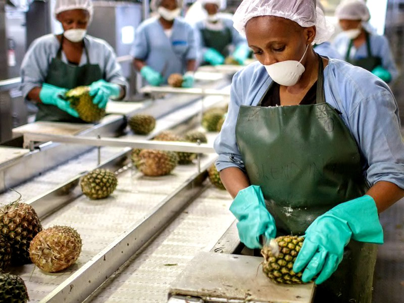 Pineapple Juice Puree Beverage Production Processing Line UHT Sterilizing