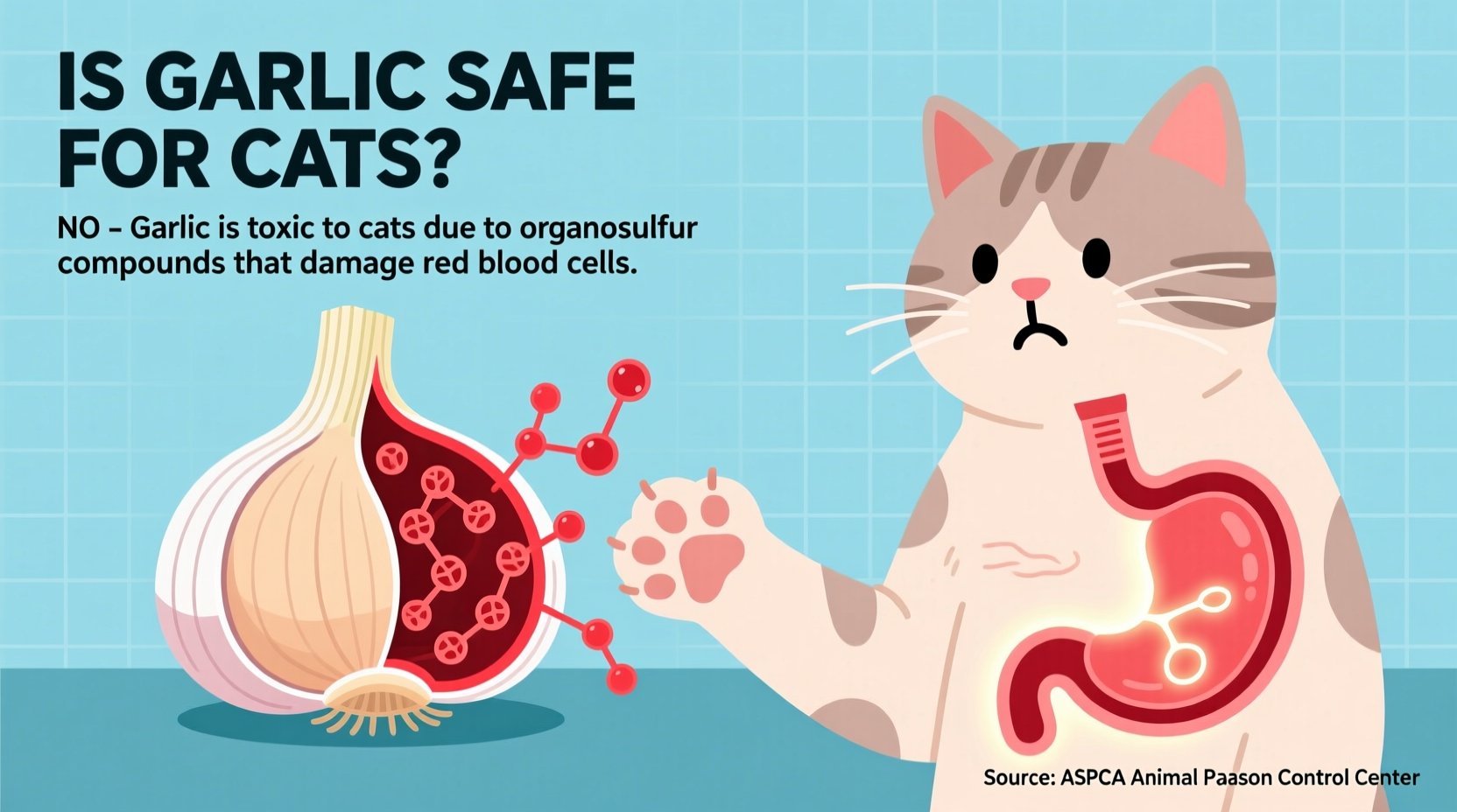 Garlic Safety for Cats: Critical Toxicity Facts