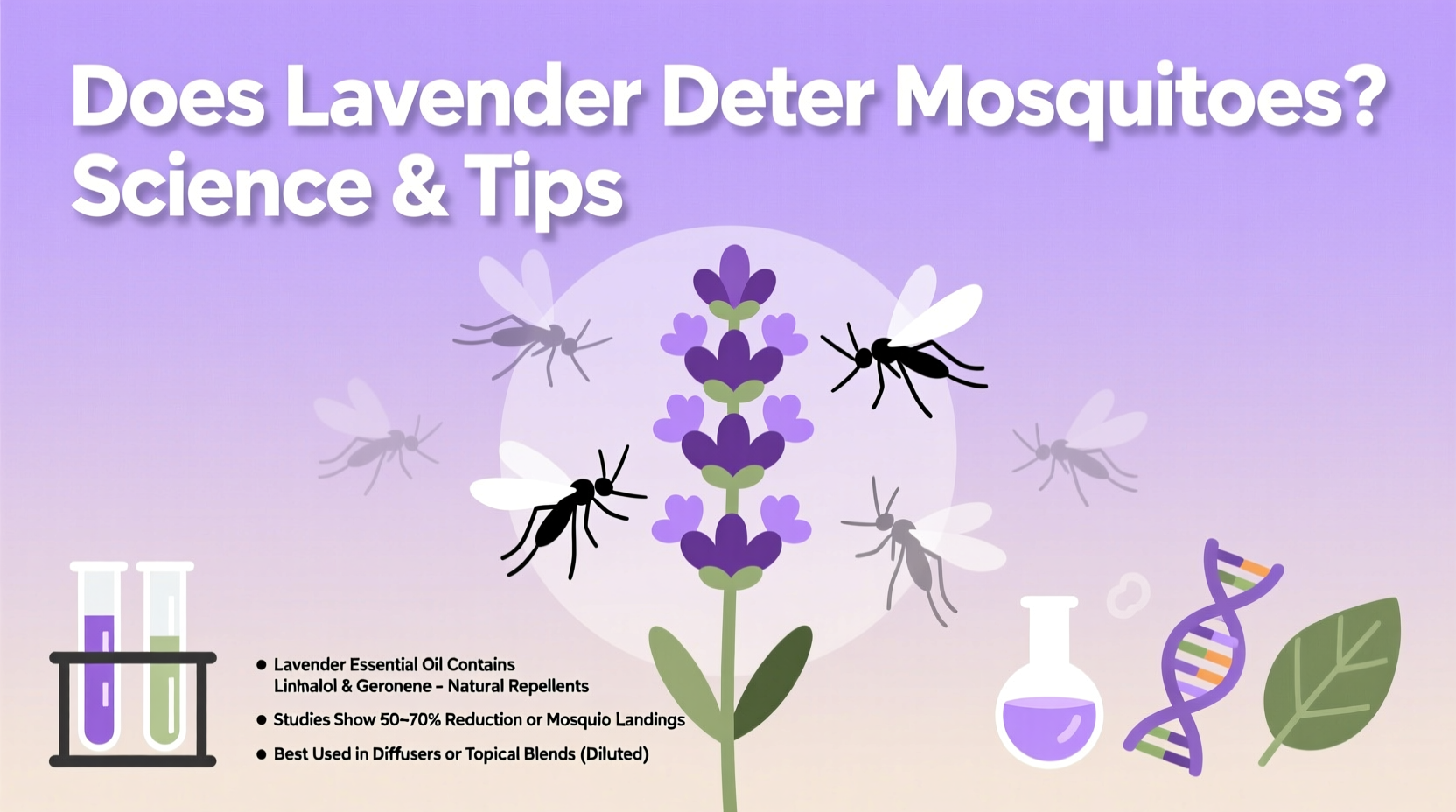 Does Lavender Deter Mosquitoes? Science & Tips