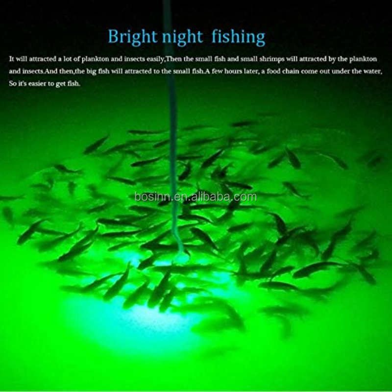 Lampe Sous-marine De Pêche SHENKENUO 15000 LUMENS, 300 LED Vertes, 12V, 5 Mètres