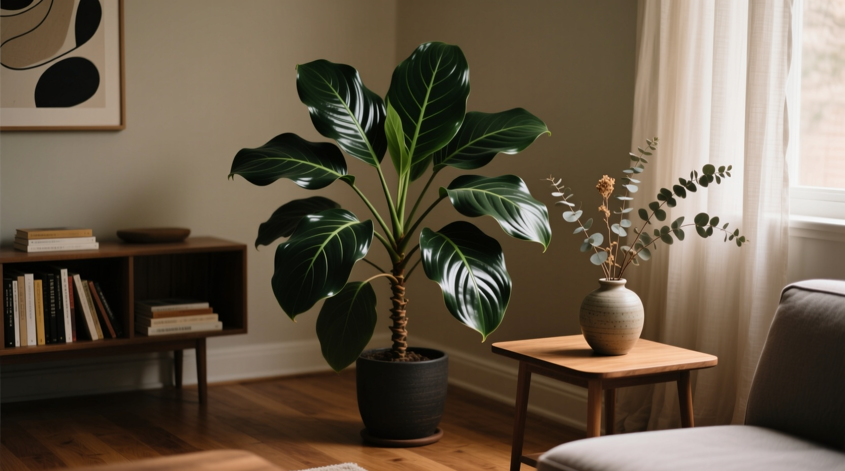 Cast iron plant thriving in dim corner of living room