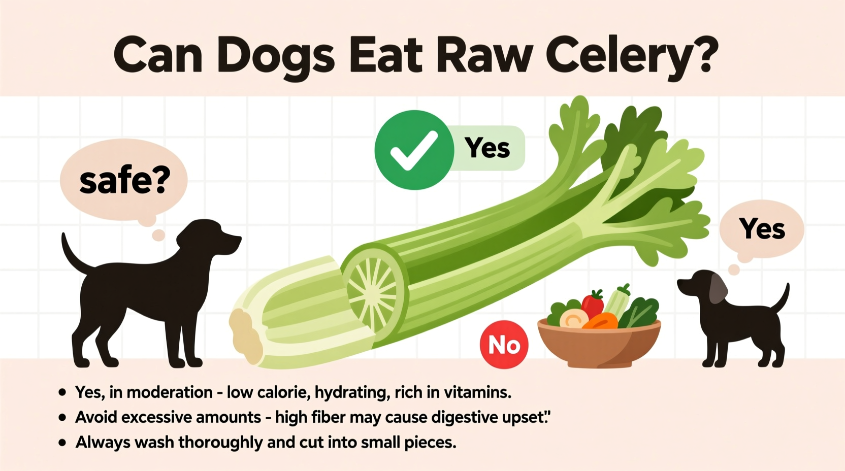can dogs eat raw celery