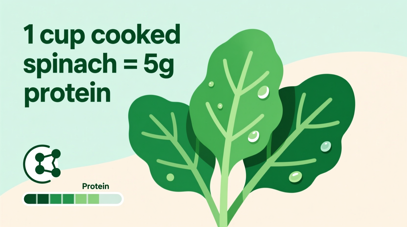 Spinach Protein Content: Exact Measurements Per Serving