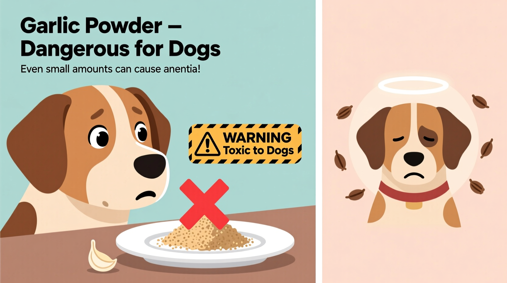 Knoblauchpulver für Hunde: Giftig & Gefährlich (Fakten)