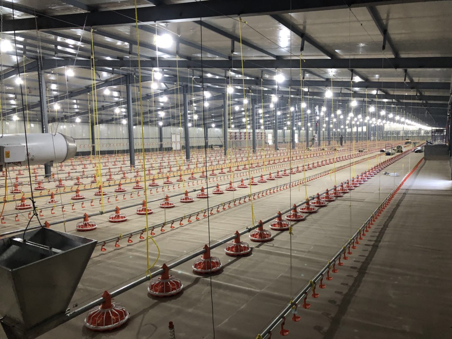 14/16 partitions Poultry Farm Equipment Plastic Chicken Feeders And Drinkers