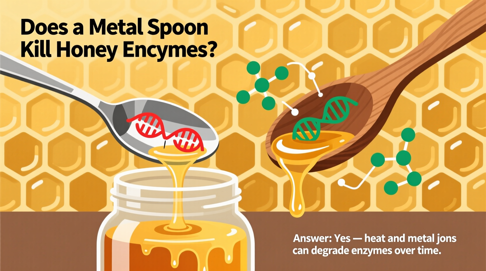 Metal Spoon & Honey Enzymes: Science-Backed Truth Revealed