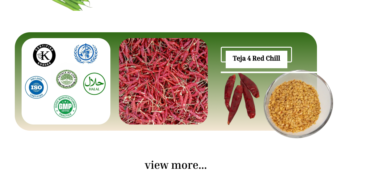 Ojishtha Industries highlights