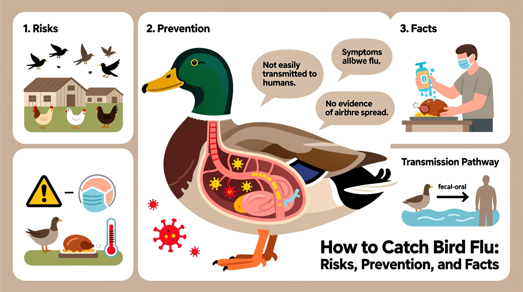 how to catch bird flu