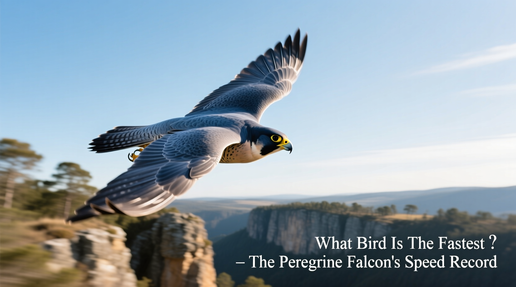 what bird is the fastest