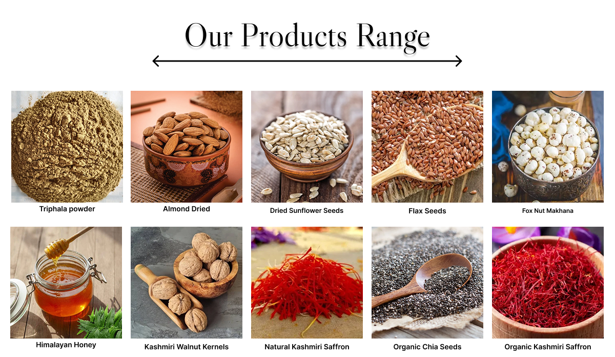 Ojishtha Industries highlights