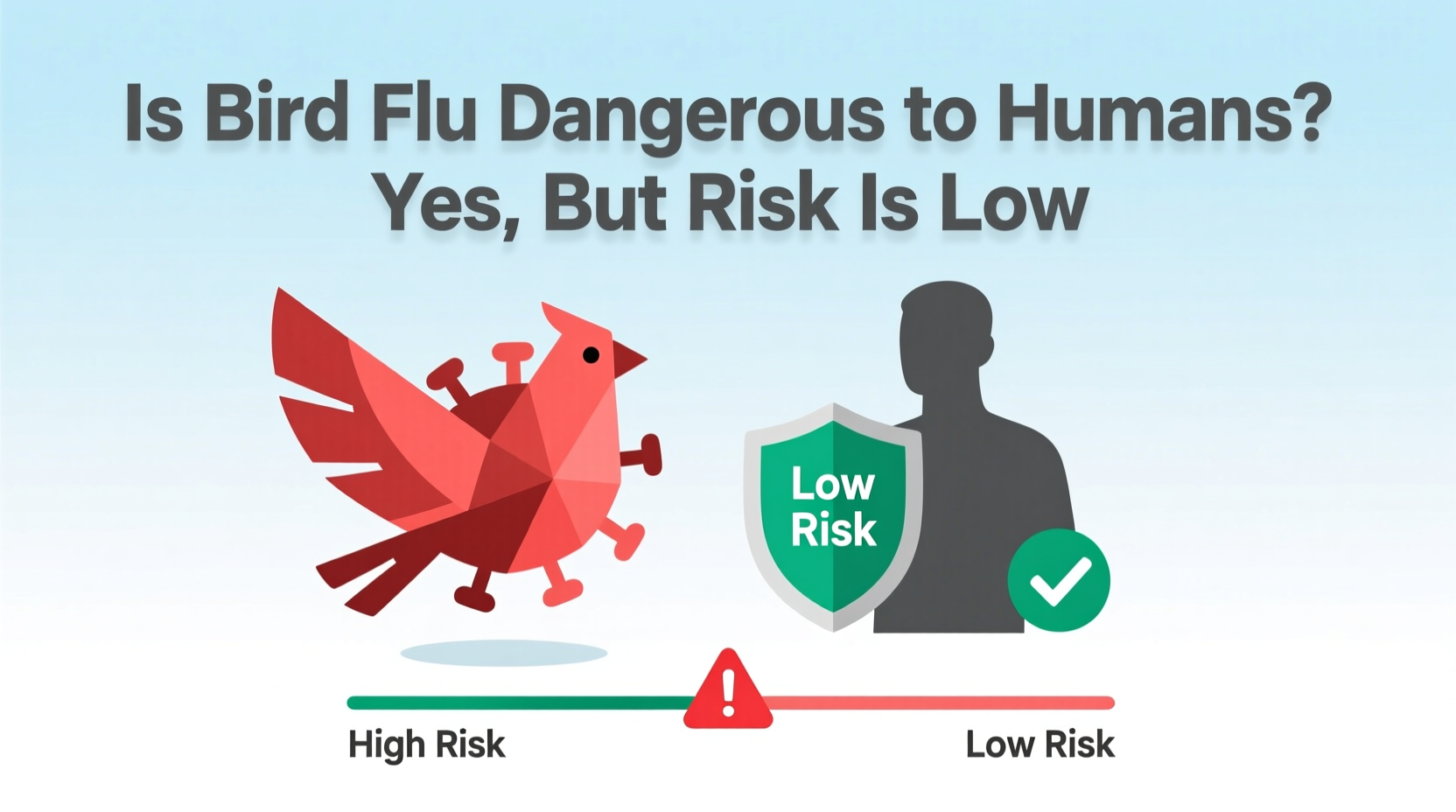is bird flu dangerous to humans