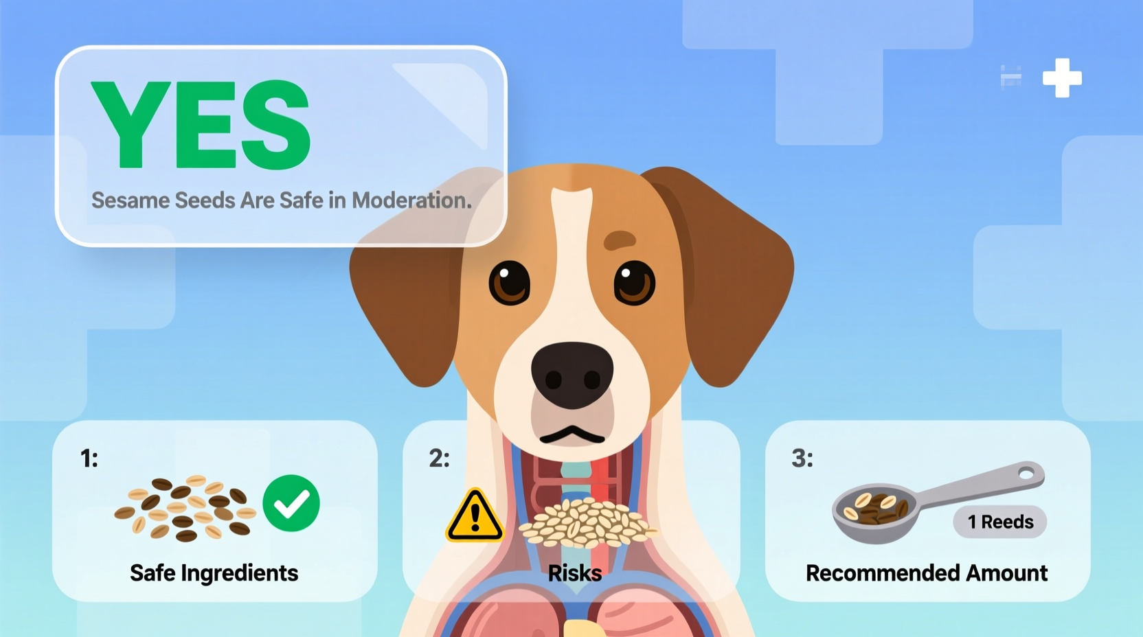 Pizza Toppings Moderation Guide: Master the Perfect Flavor Balance