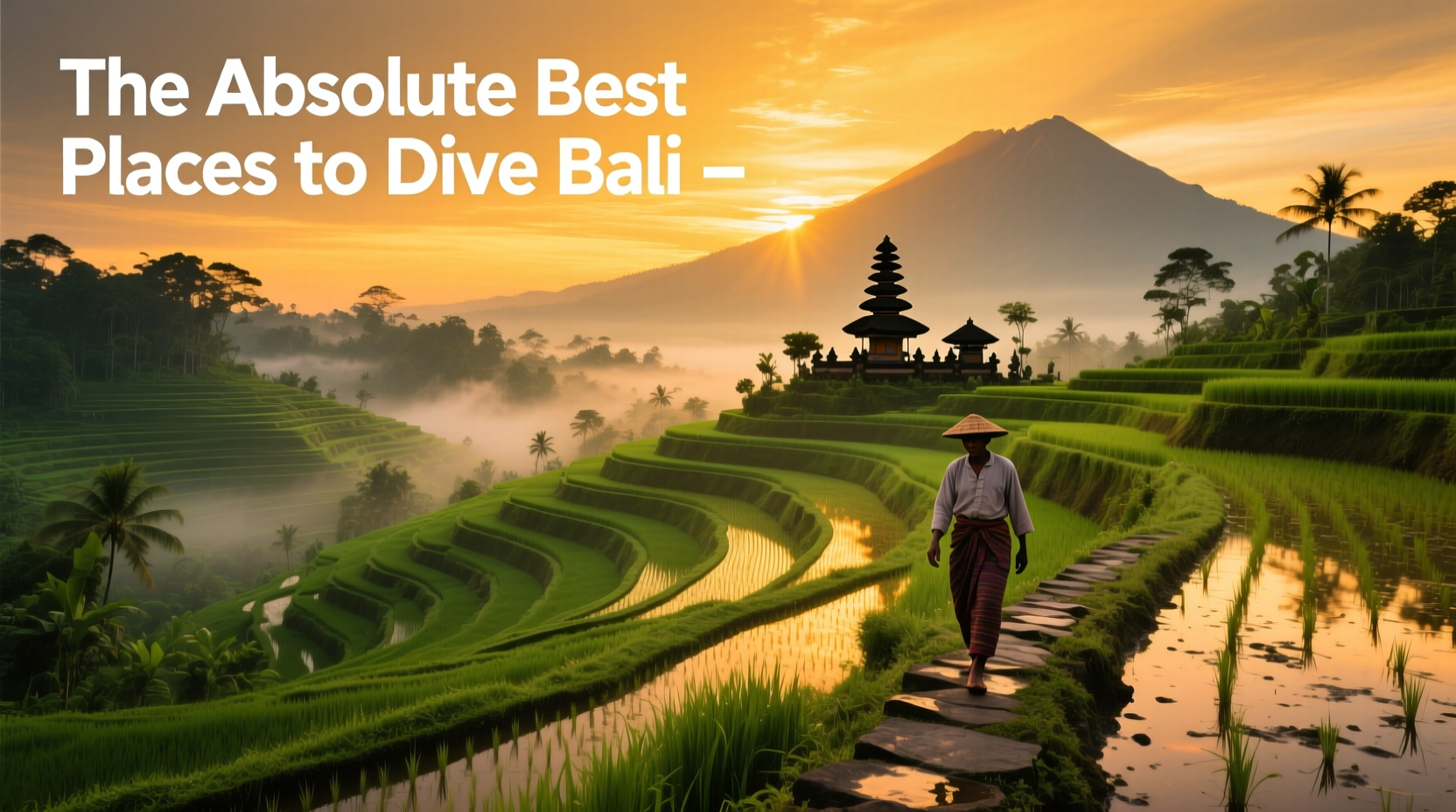 Absolute Best Places to Dive in Bali: Budget Diver’s Guide