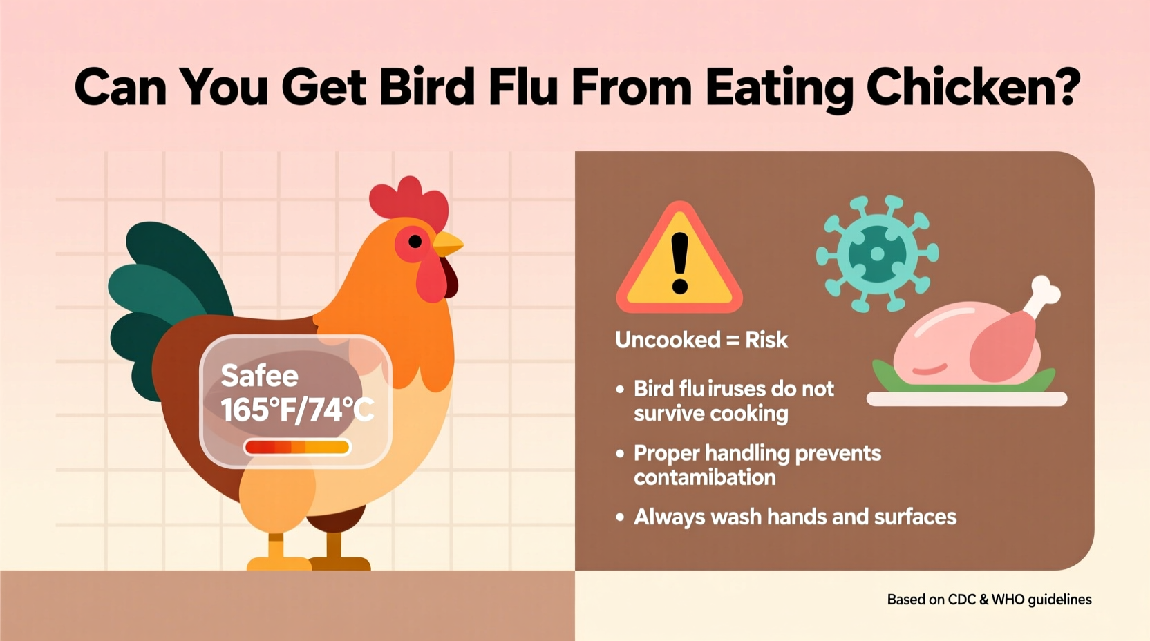 can you get the bird flu from eating chicken