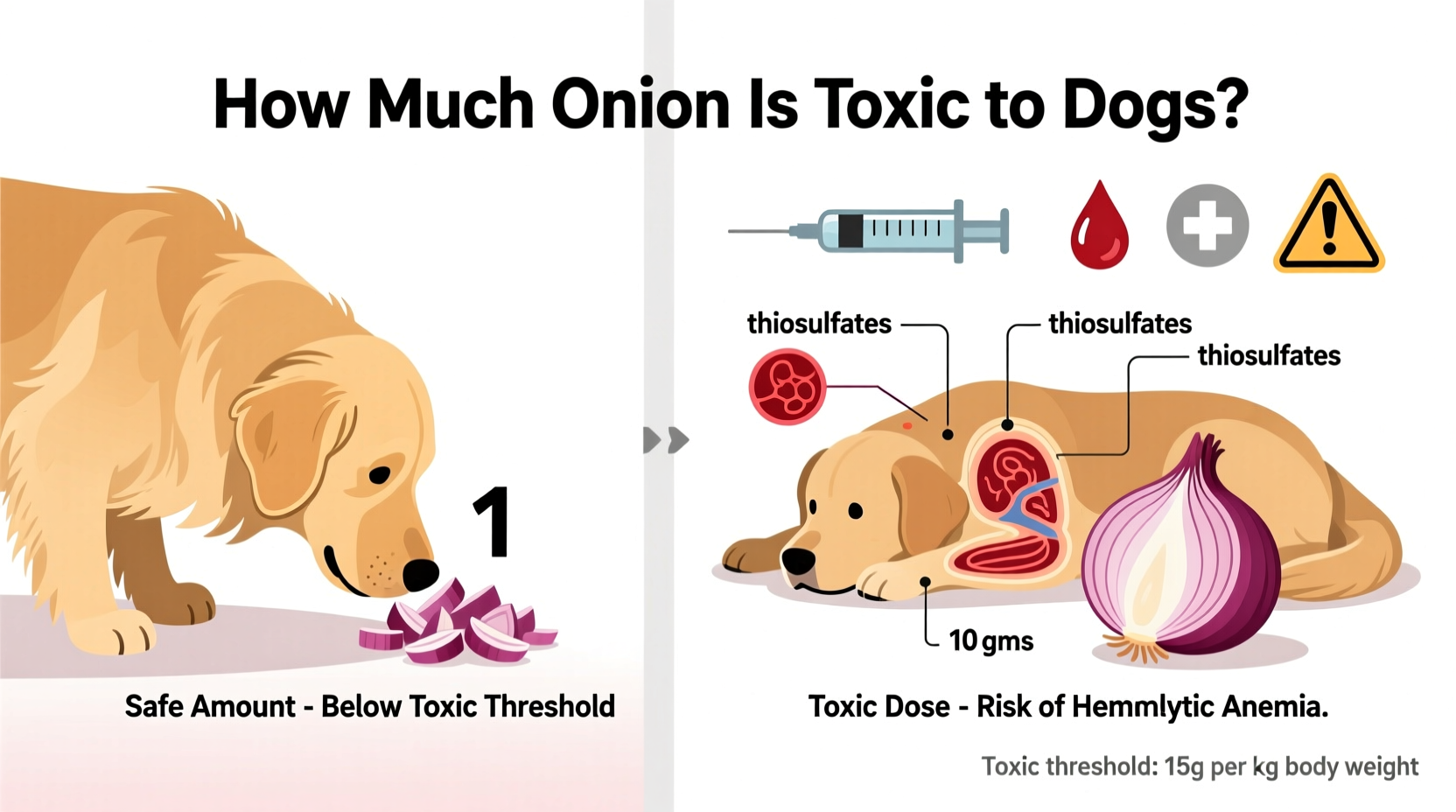 How Much Onion Is Toxic to Dogs: Critical Thresholds Revealed
