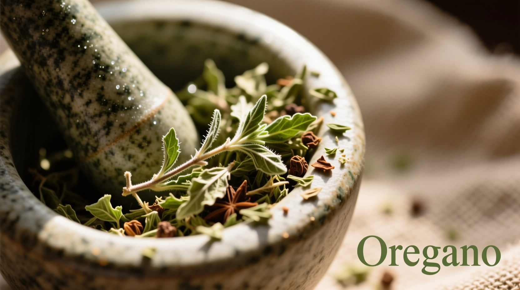 Oregano Spice: Complete Guide to Uses, Benefits & Cooking Tips