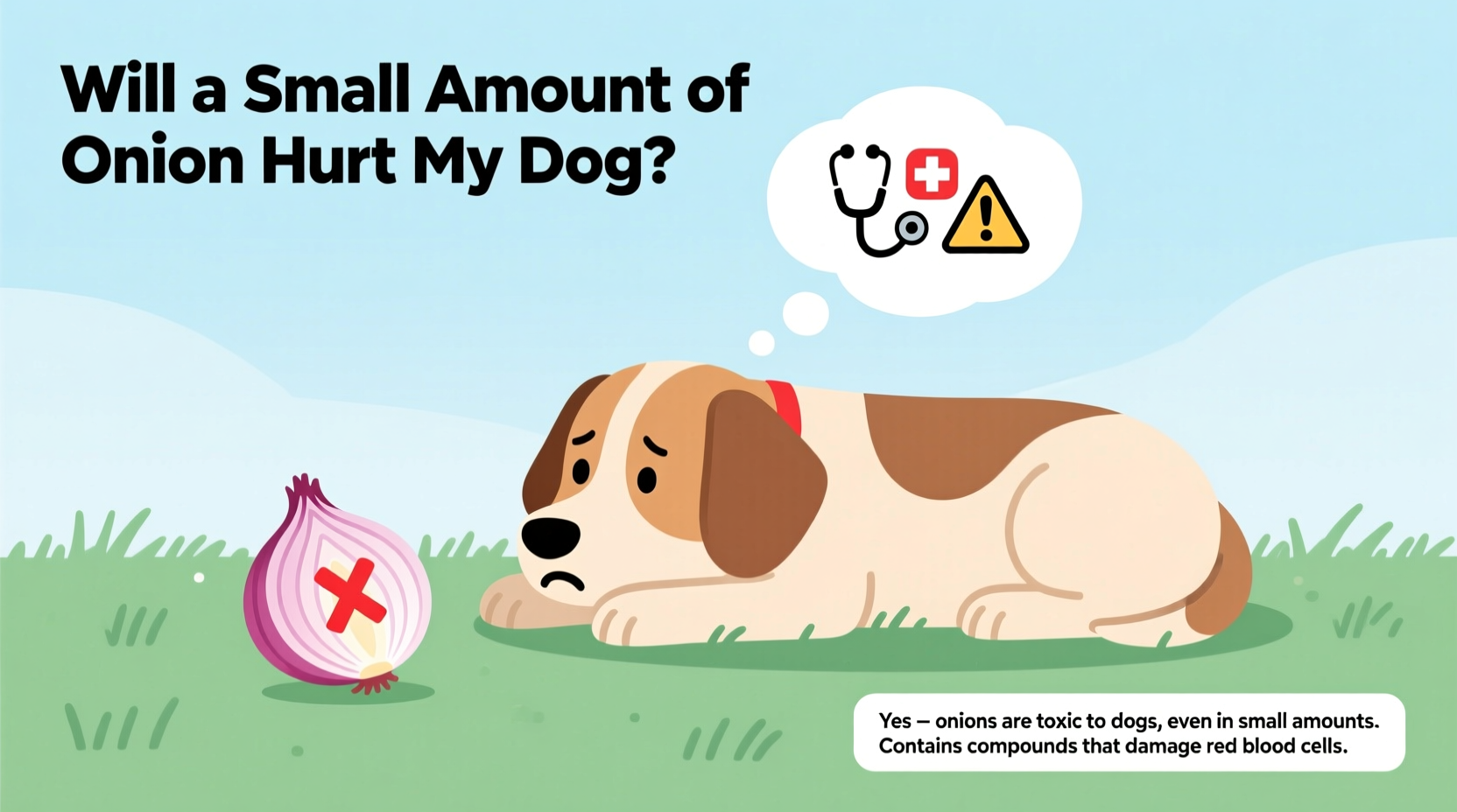 Will a Small Amount of Onion Hurt My Dog? Vet-Verified Facts