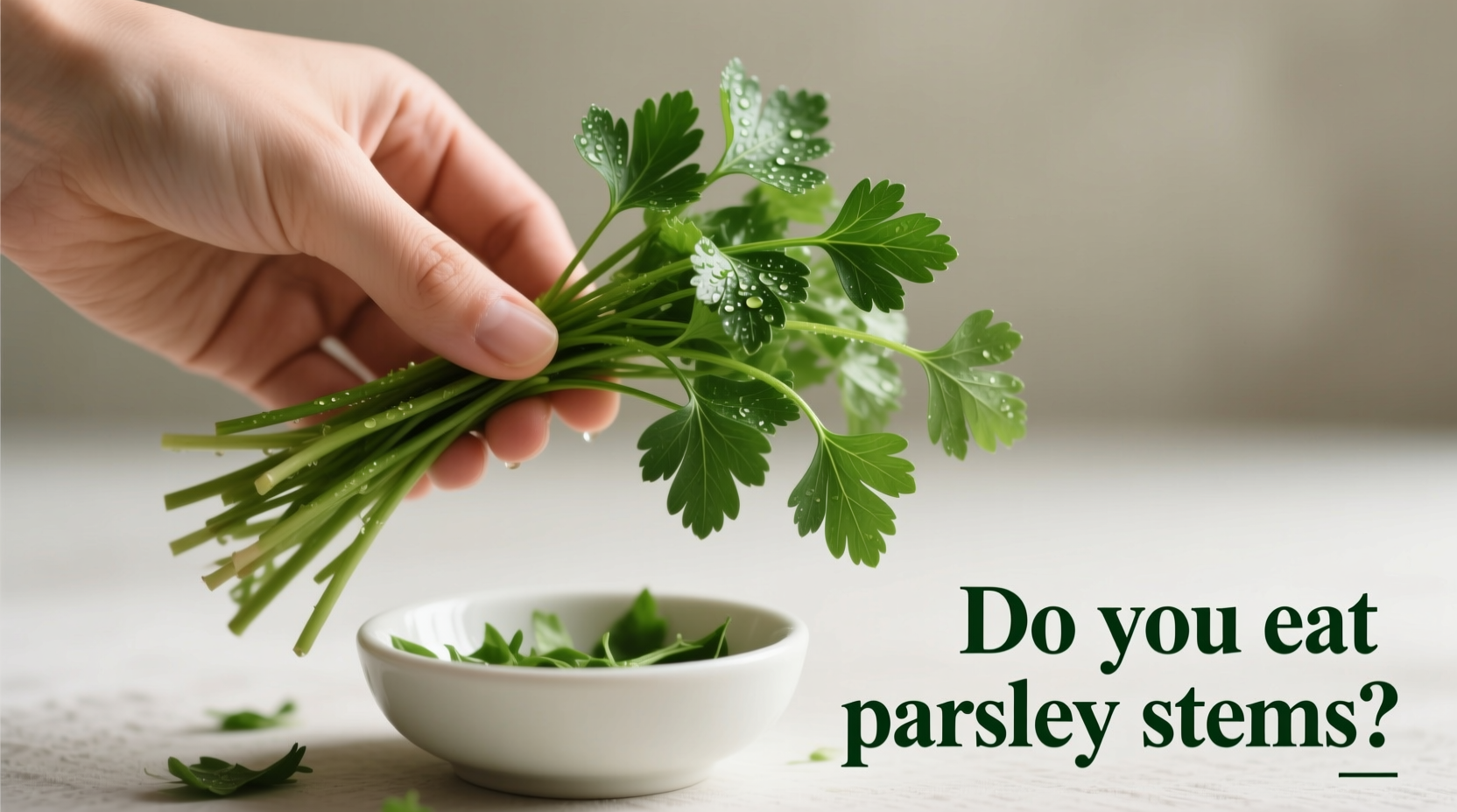 Can You Eat Parsley Stems? Yes, Here's How to Use Them