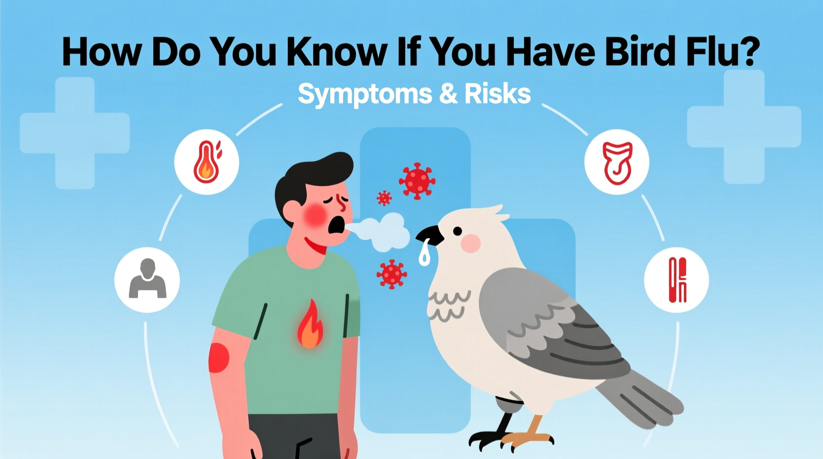 how do you know if you have bird flu
