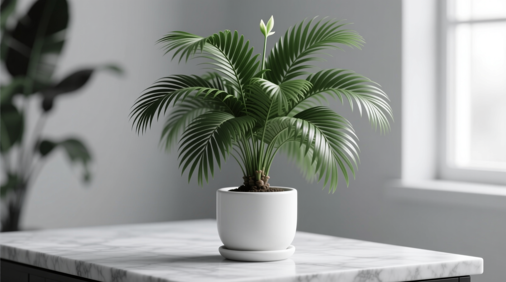 Parlor Palm Flowers: Why Indoor Blooming Is Rare & What to Focus On