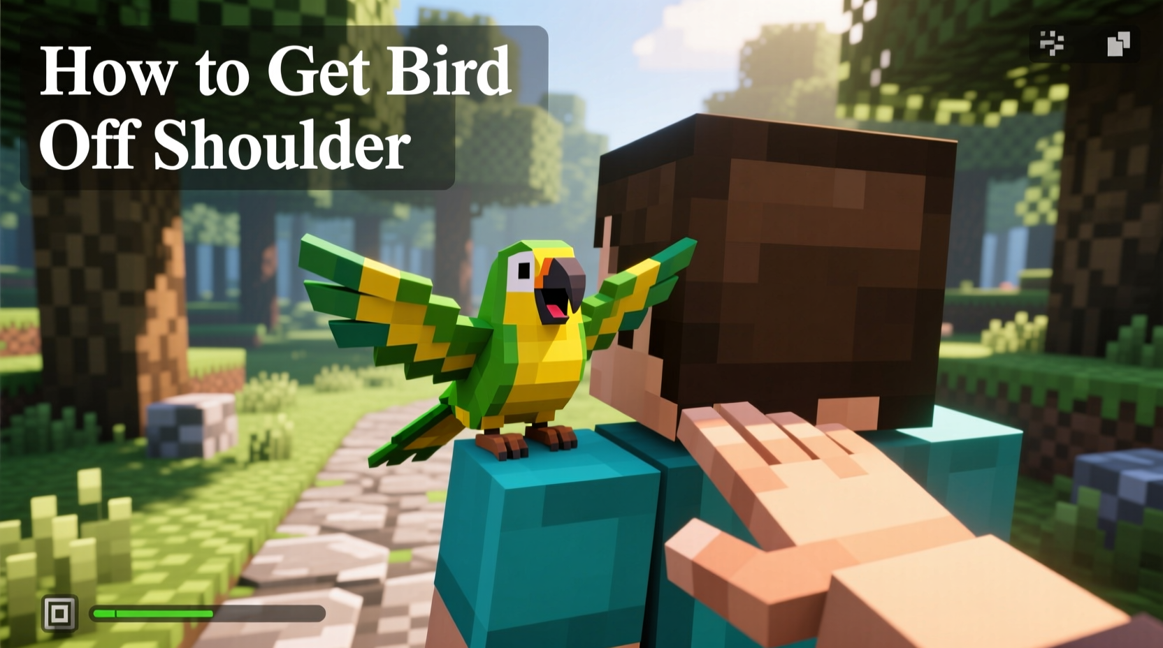 how to get bird off shoulder minecraft