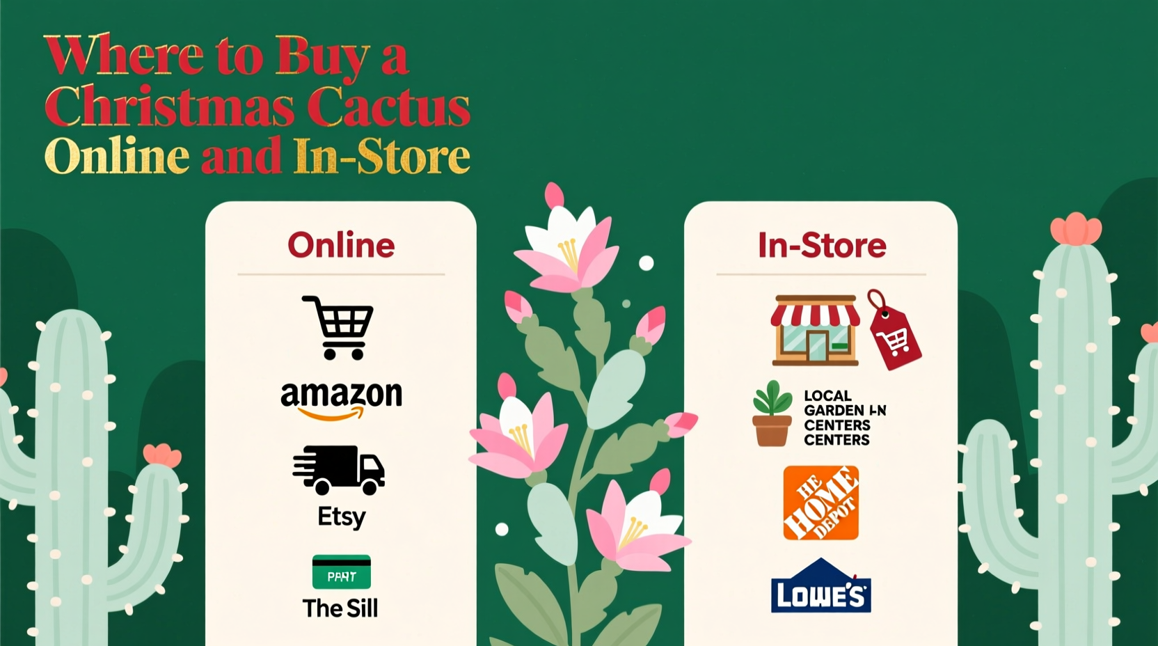 where to purchase a christmas cactus