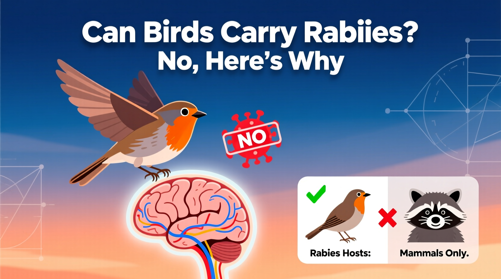 can birds carry rabies