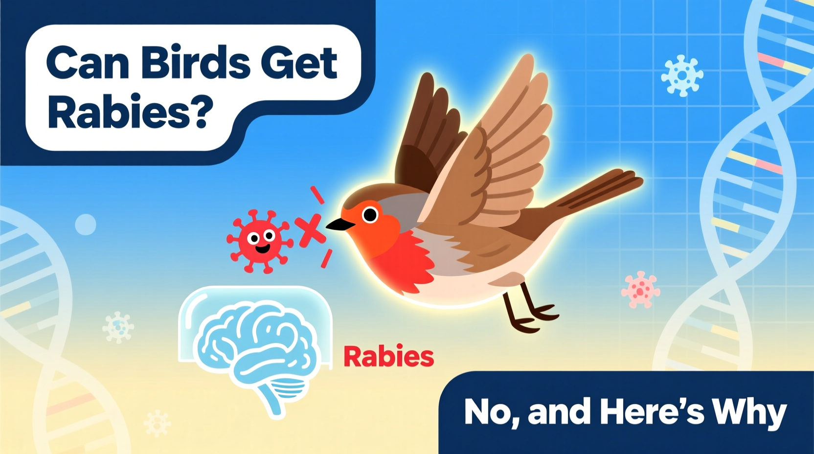 can birds get rabies