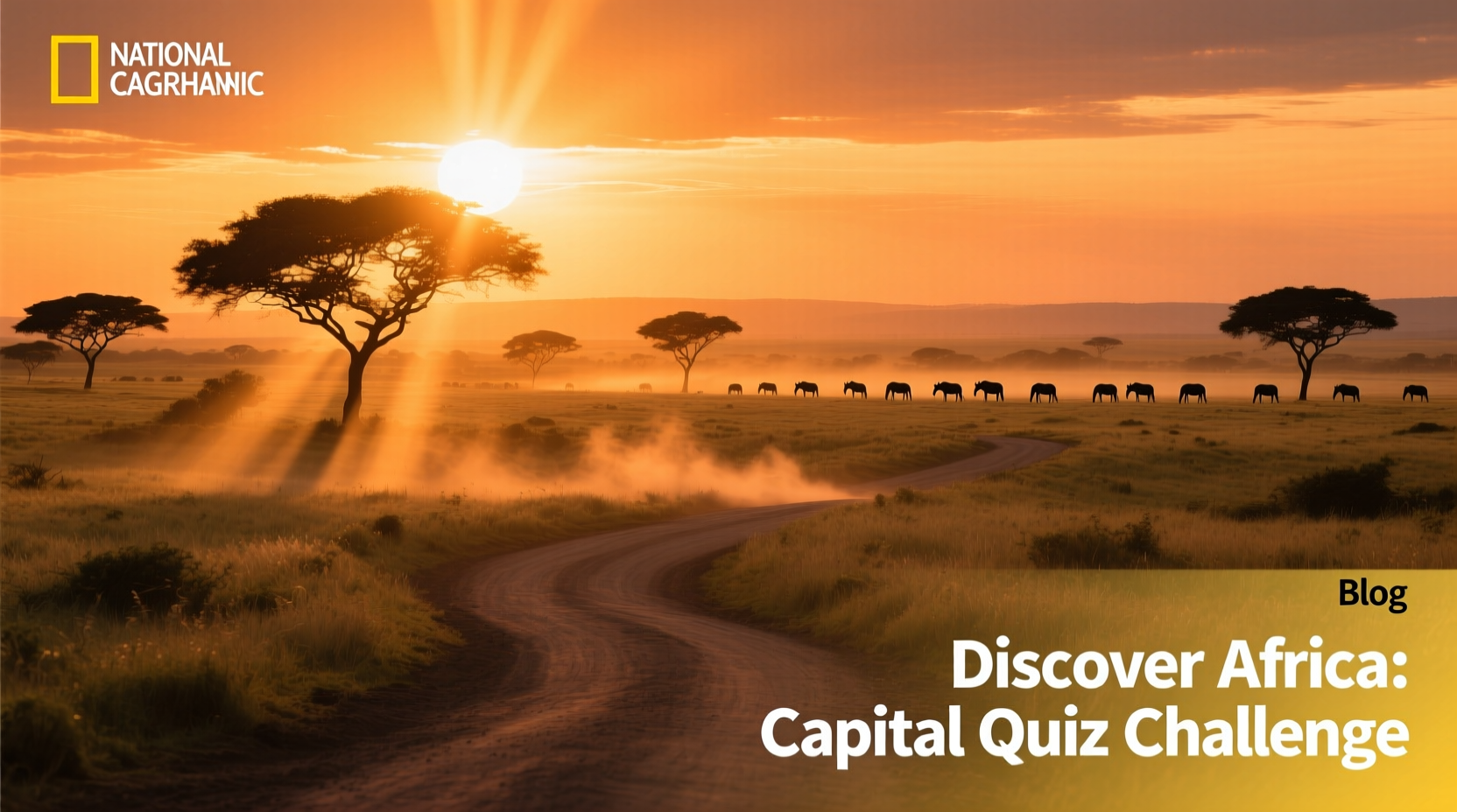 Can Choose African Country Given Capital Quiz: A Budget Traveler’s Guide