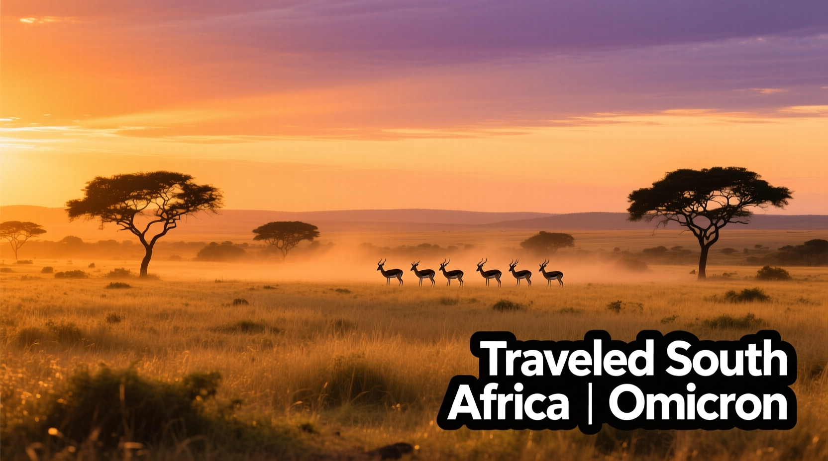 Traveled South Africa Omicron-Like: Budget Travel Guide & Practical Tips