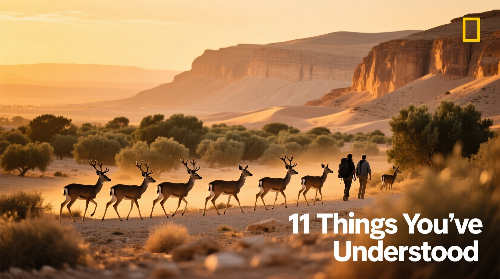 Dear Travelers to Israel: Don’t Visit Without Understanding These 11 Things