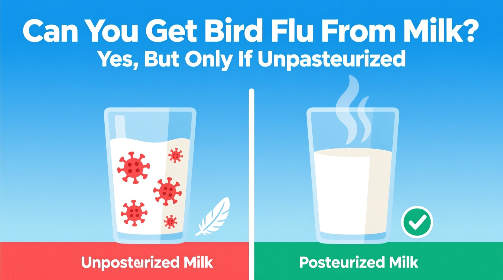 can you get bird flu from milk