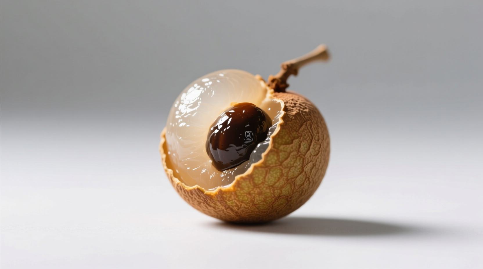 longan symbolism is dead off season stop wasting time on roundness