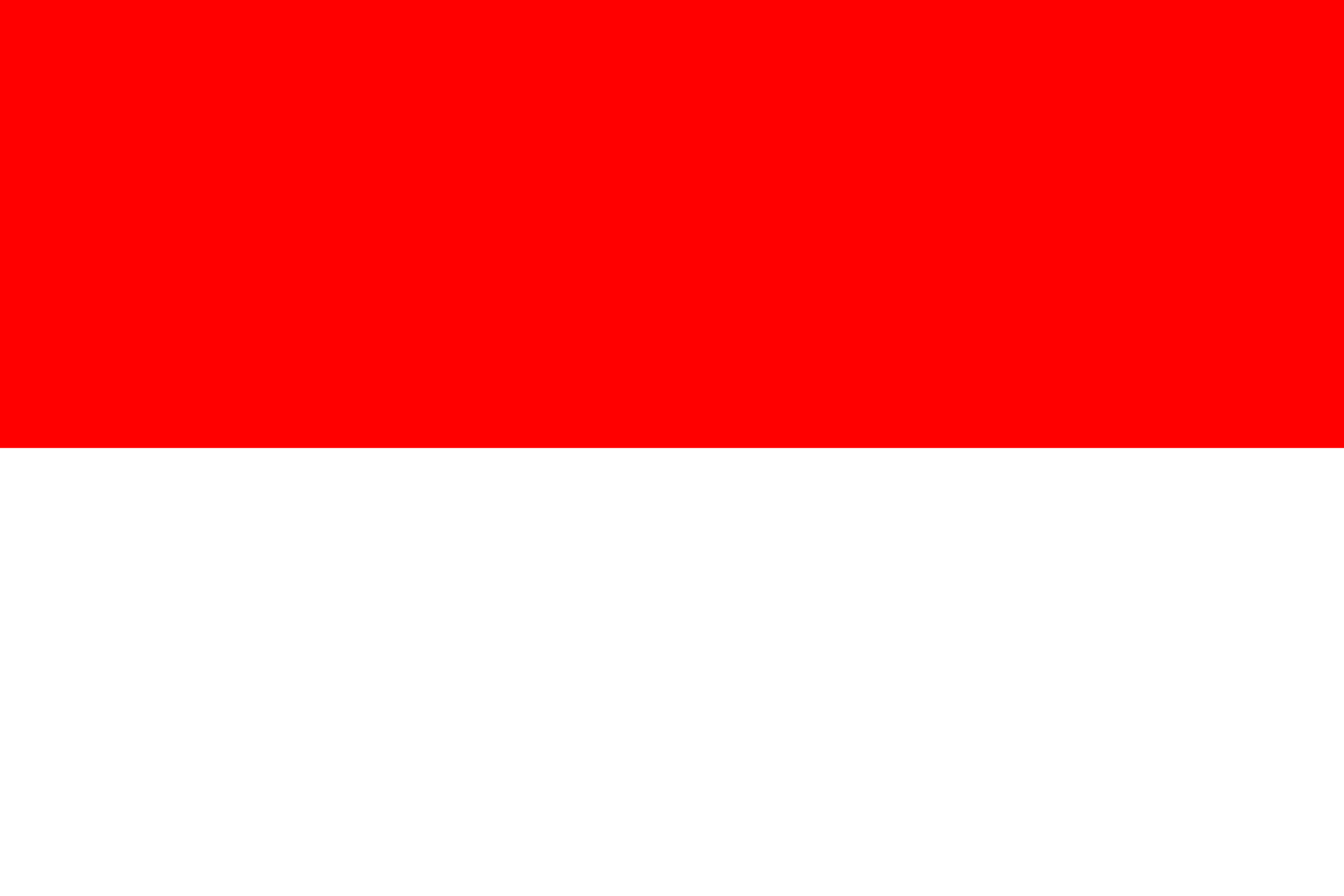 VN