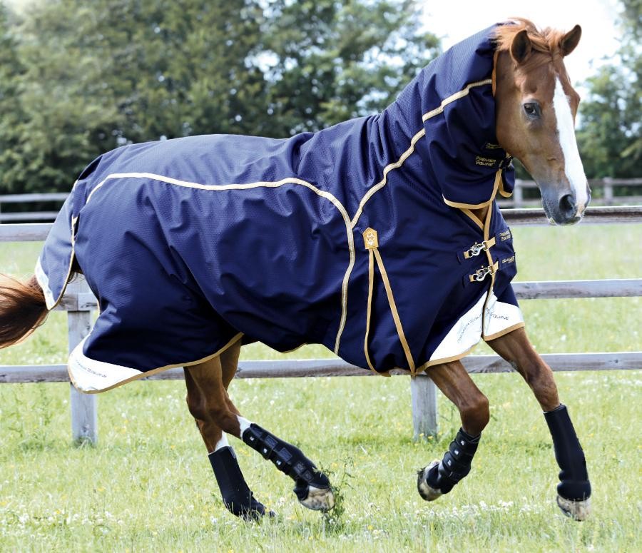 全新全皮革快感英国马鞍初学者入门套装 - buy rocking horse saddles