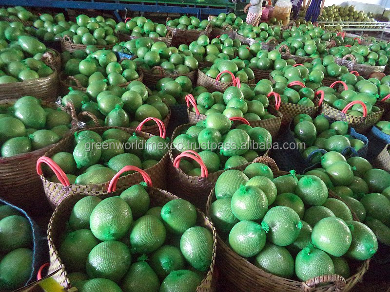 SWEET FRESH POMELO FROM VIETNAM