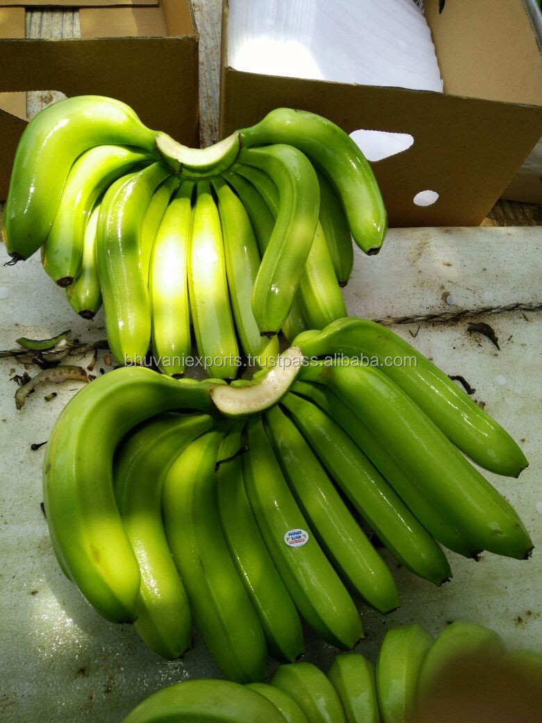 卡文迪什香蕉/新鲜水果/印度香蕉!