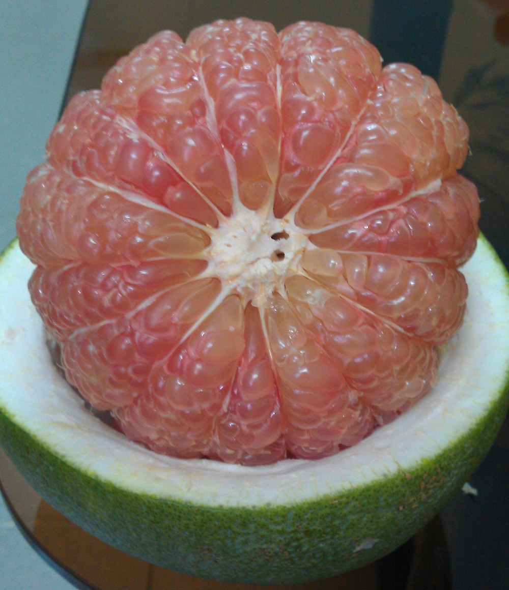 新鲜柚子绿皮肤批发最好的收获 (whatsapp   84 376540581) - buy