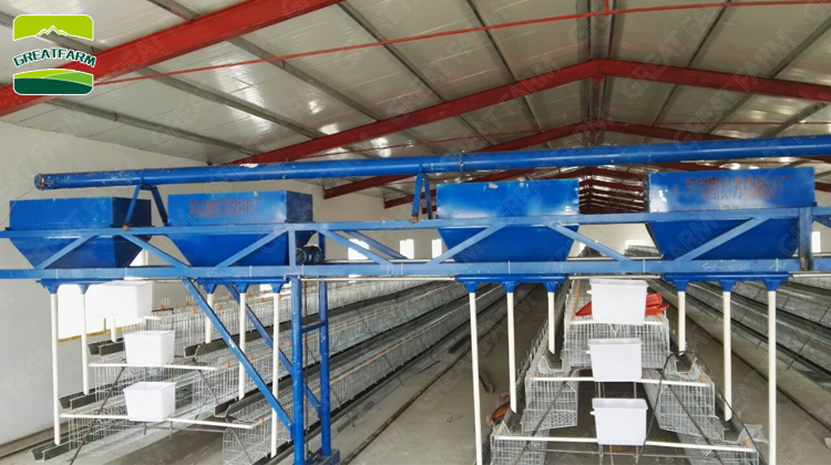 Chicken farm automatic feeder hot sale factory direct price Automatic chicken feeder