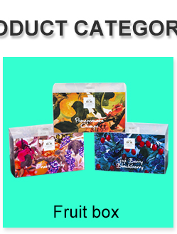 Wholesale  Plastic  Printing Box Packaging With Lid For Food Date Box