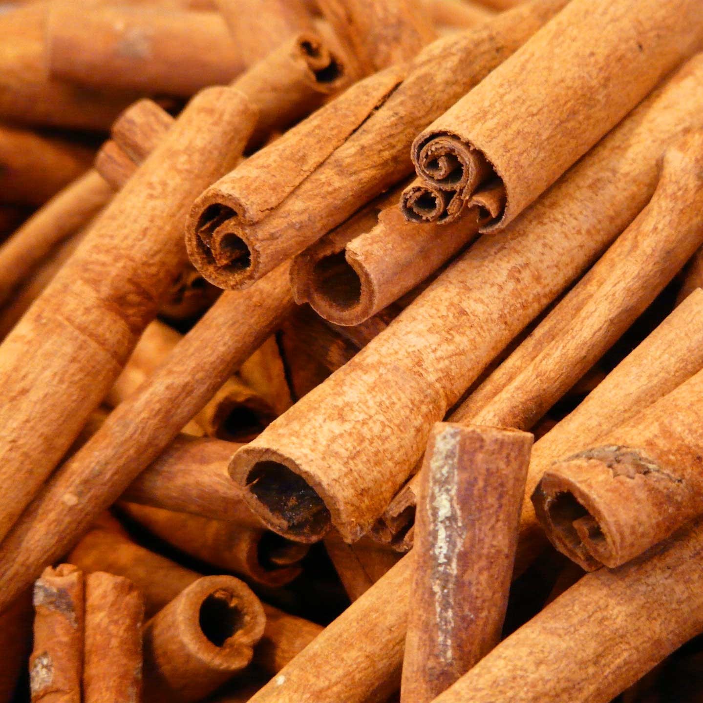 CASSIA CINNAMON BEST PRICE FROM PHALCO