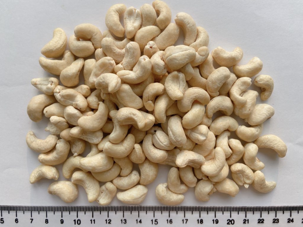 NEW CROP - BEST PRICE - CASHEW NUTS from TOP BRC factory (Hanfimex-Mr.Daniel +84969509207)