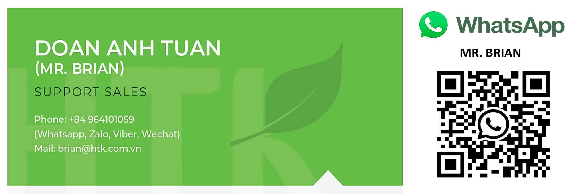 High Quality Made In Vietnam 100% Natural FRESH TARO ROOT from HTK FOODS for Food & Beverage