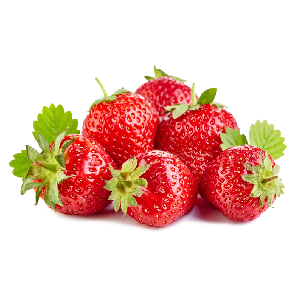 Top Grade Strawberries Fresh Fruit High Quality 100% Best Selling Fresh Strawberry Fruit at Cheap Price