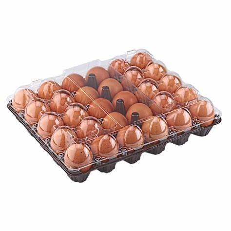 Quality Farm Fresh Chicken Table Eggs for human consumption / Fresh Fertile Hatching Chicken Eggs round Table Eggs for Sale