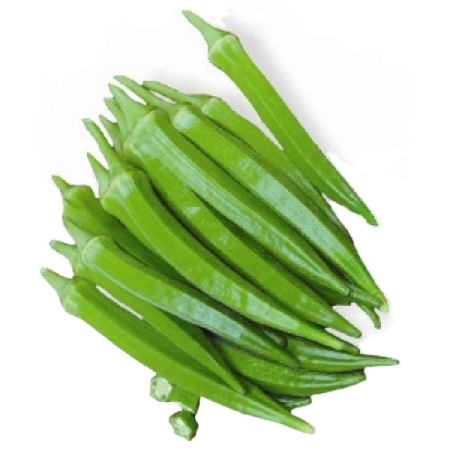 Премиум класса свежий Дамский палец Okra