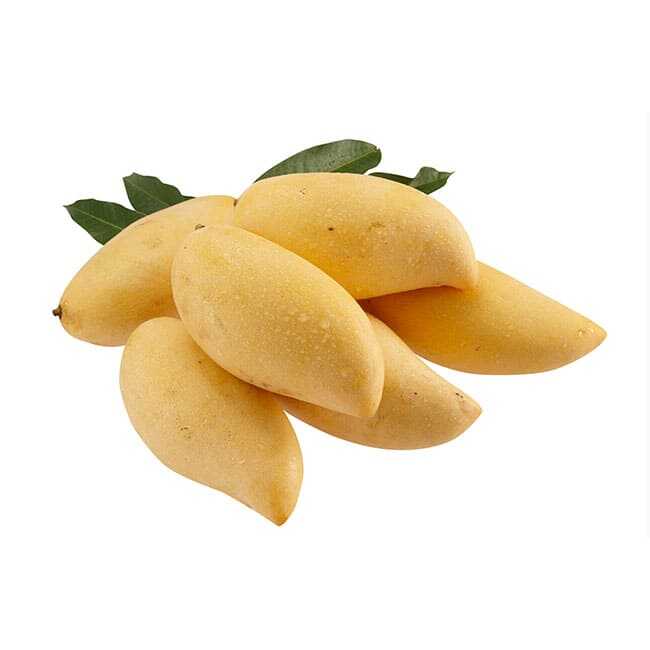 Thai Golden Nam Dok Mai Mango Fruit Natural Fresh Taste Cheapest Price Factory Indulge In The Unique King Of Fruits Mango